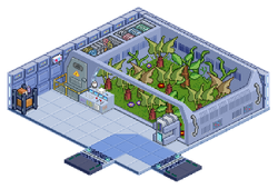 Sala-jardin-hidroponico.png